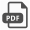 pdf icon30